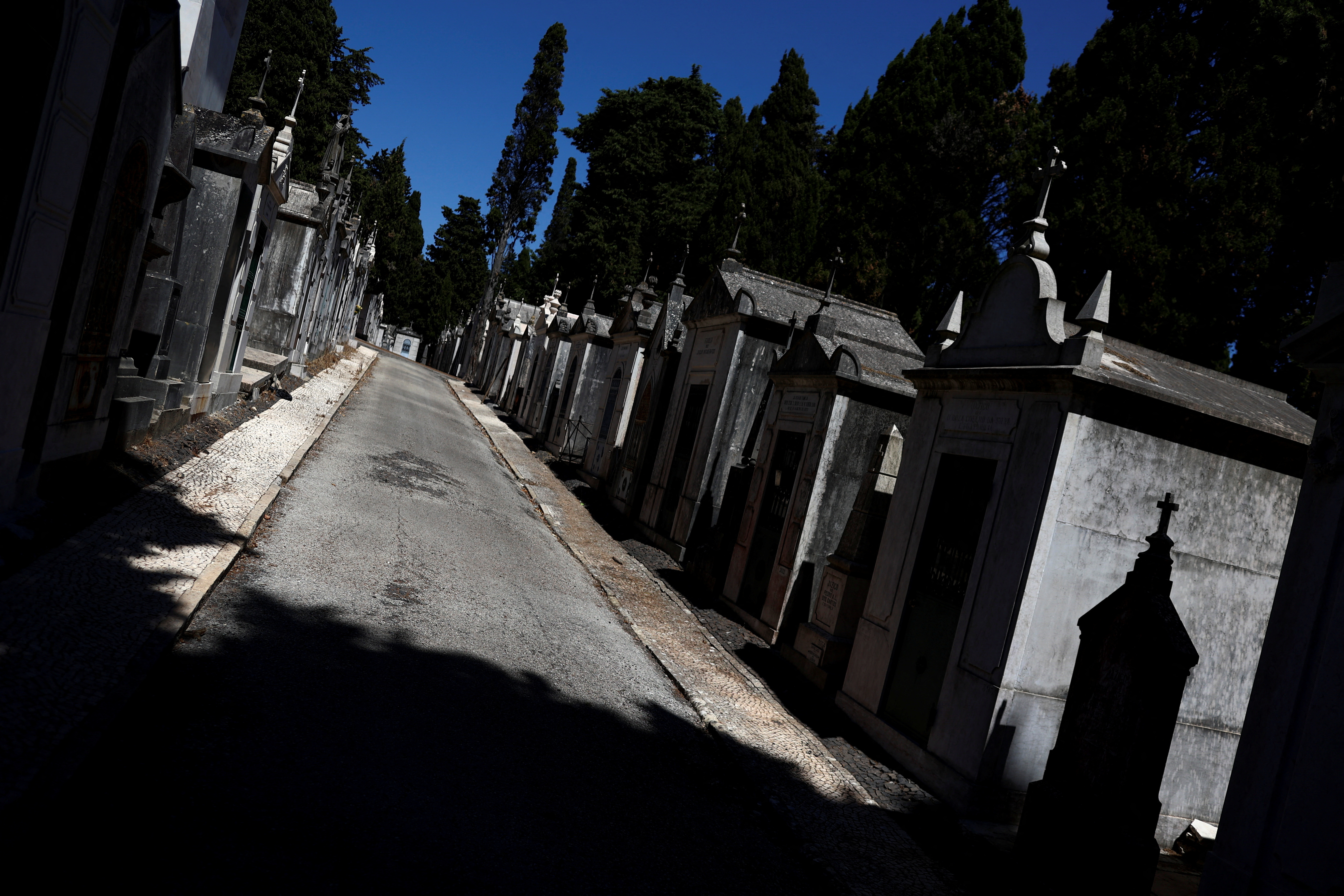 image Portugal reports more than 1,000 heat-related deaths