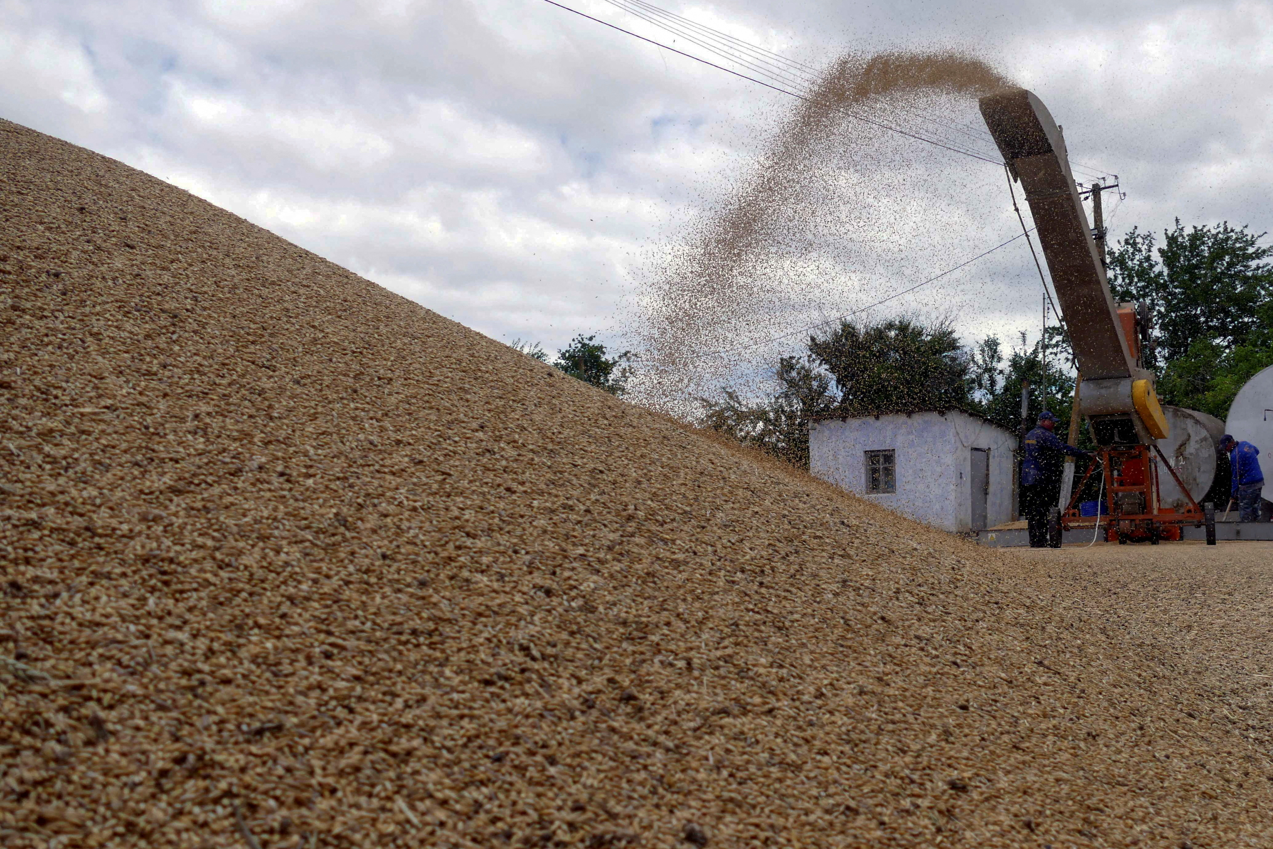 image Deal to resume Ukraine&#8217;s Black Sea grain exports