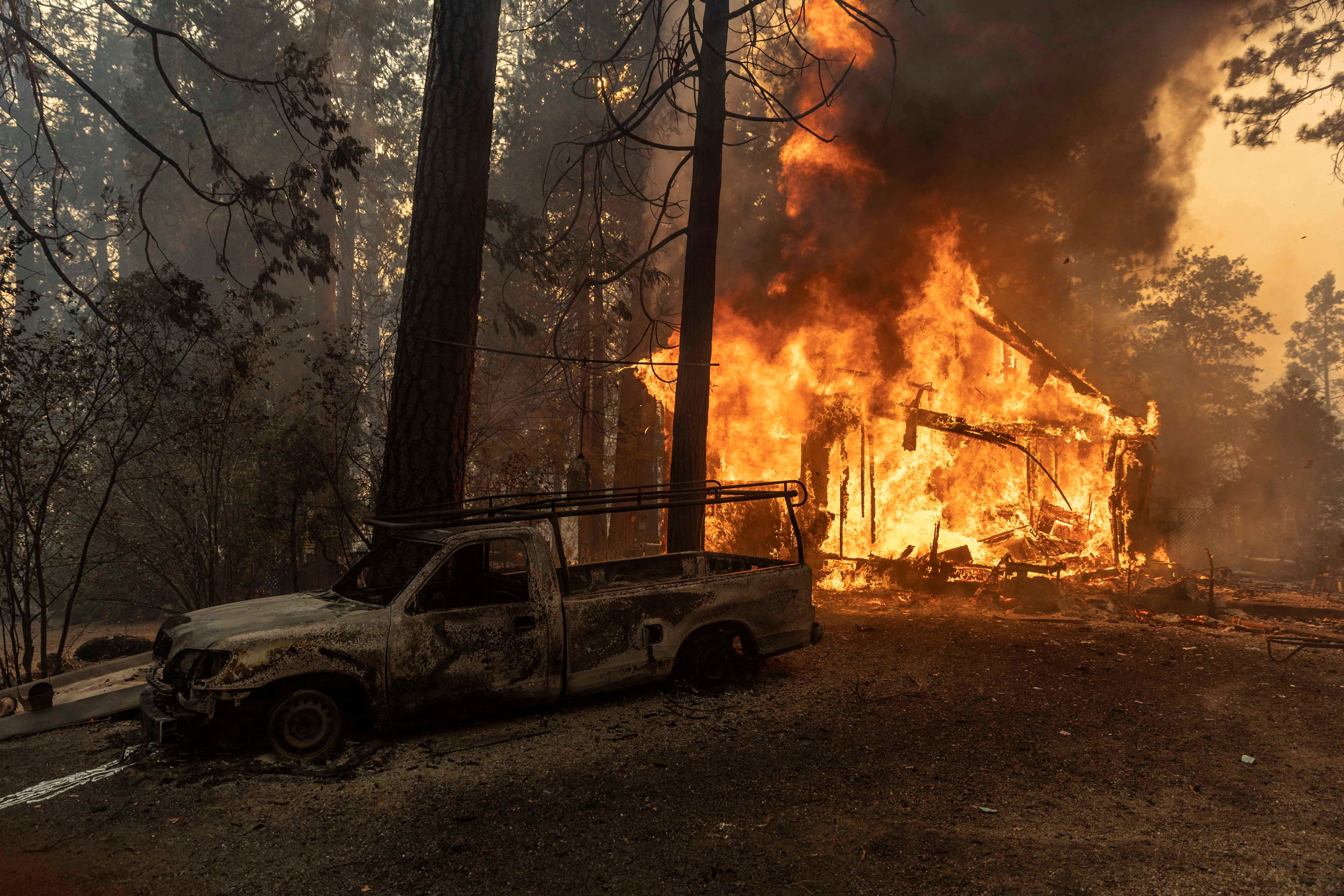 image Thousands evacuated as California&#8217;s Oak Fire grows quickly