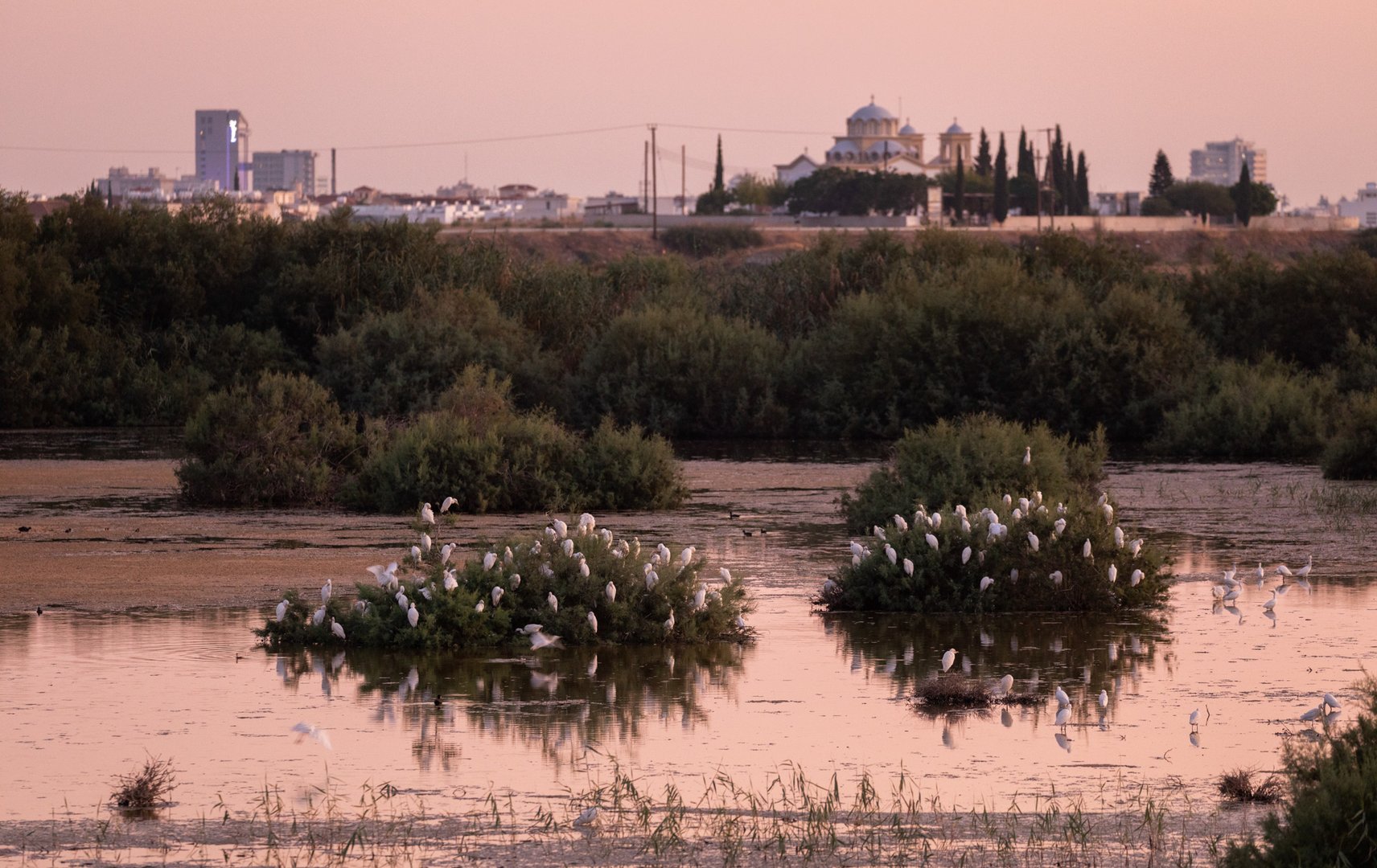 image First new EU nature law for three decades is cause for hope