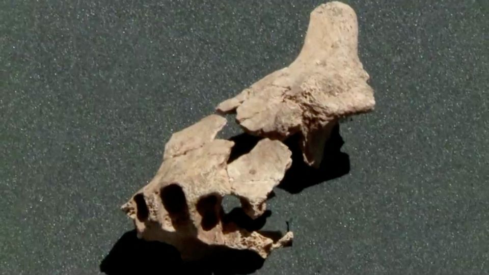 image Ancient jawbone, 1.4 million years old, could give glimpse of Europe&#8217;s earliest humans