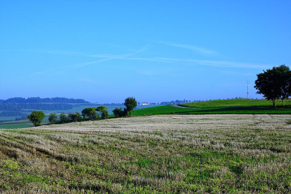 image EU plans to ease crop rotation rules as global food risks mount