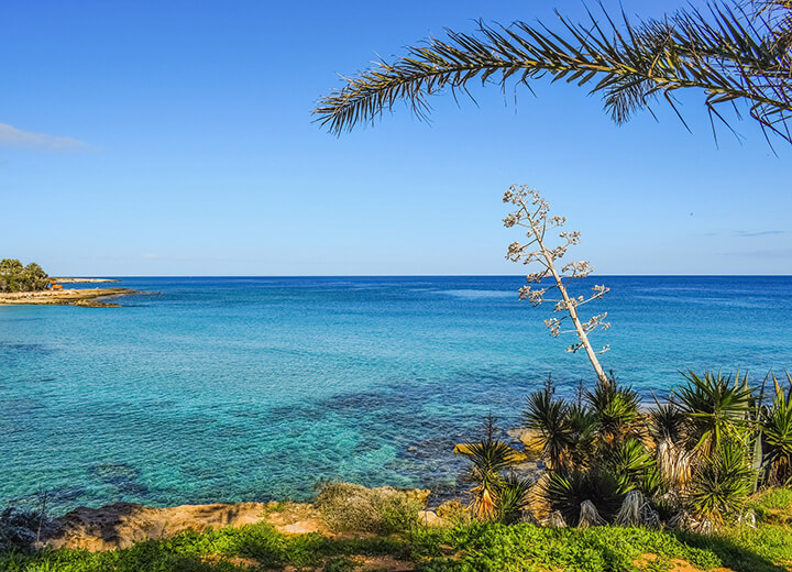 image Eight million tonnes of plastic threaten oceans, including Cyprus shores