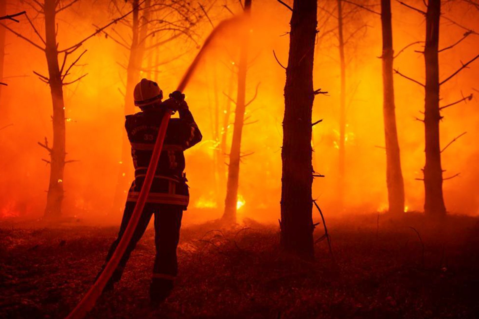 image ‘Red alert’ for forest fire risk on Saturday