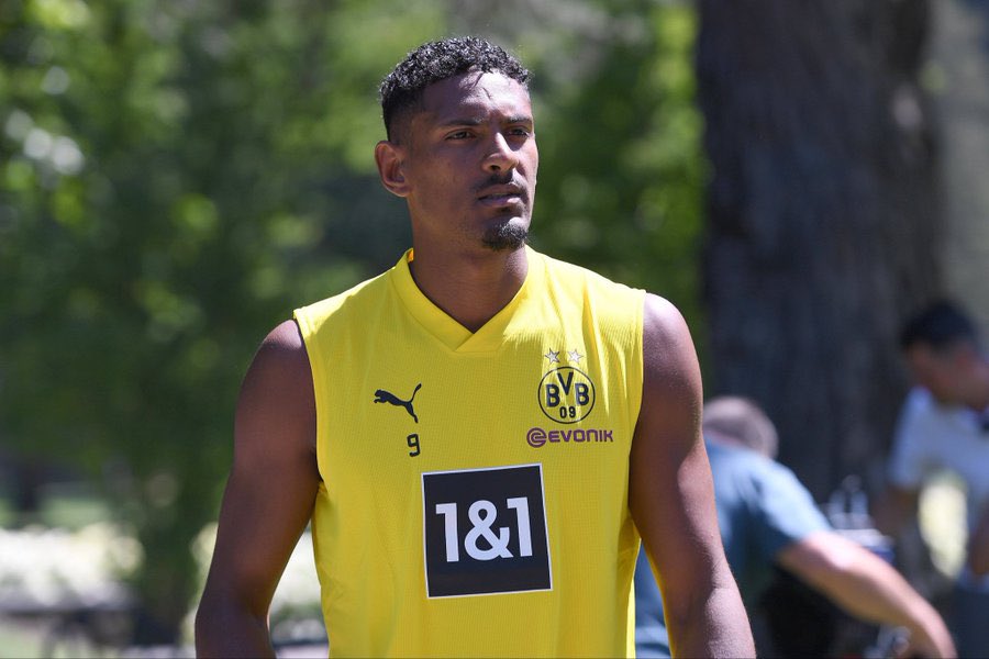 image Haller out for several months to undergo chemotherapy, says Dortmund