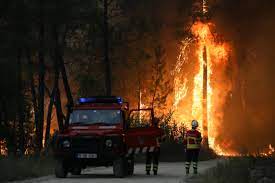 image Heatwave scorches Europe; health warnings issued