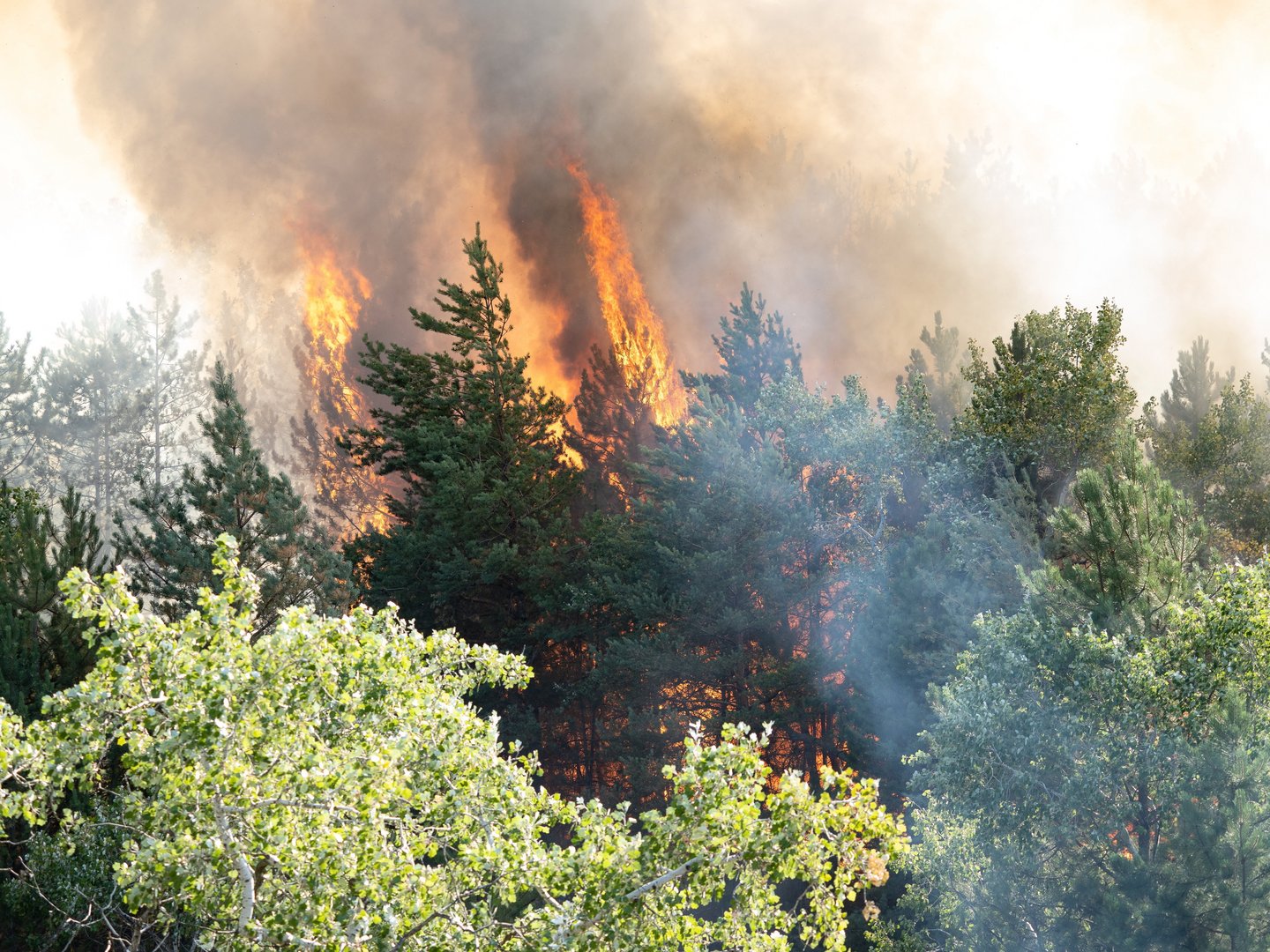 image Turkish Cypriots suggest creation of bicommunal fire fighting team