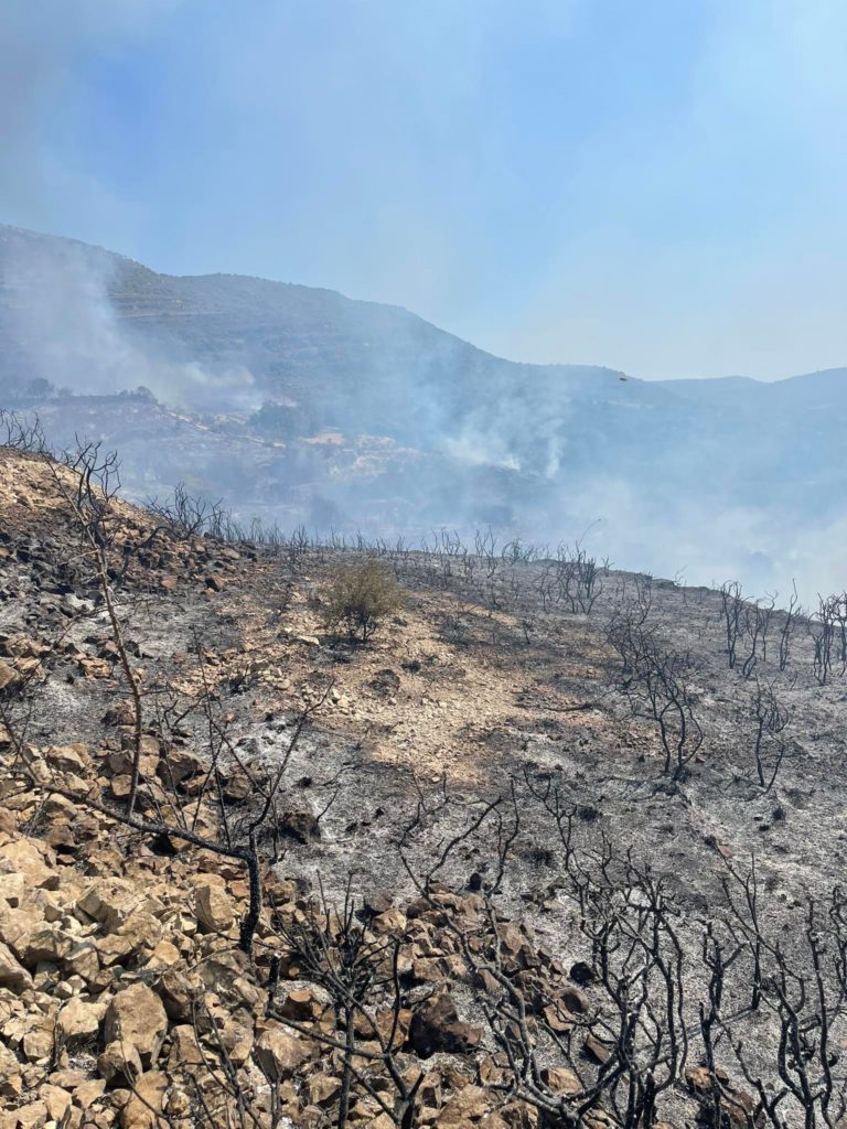 image Limassol blaze under control, a small front remains active (update 4)