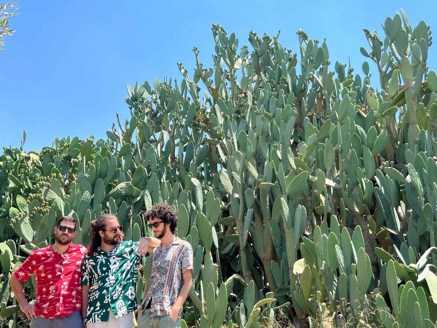 image Music inspired by Cyprus’ music and dialect