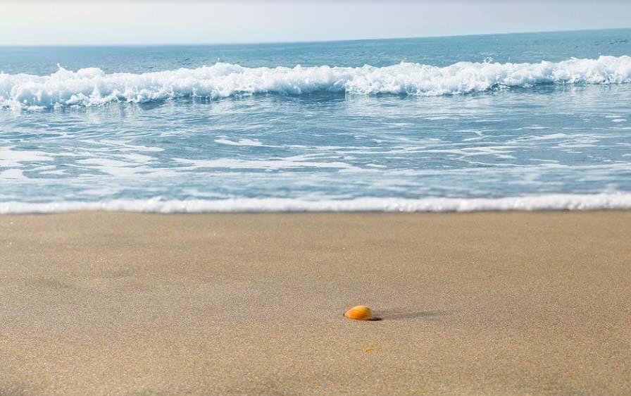 image Weather forecast: Mostly sunny, temperatures rise to 39C