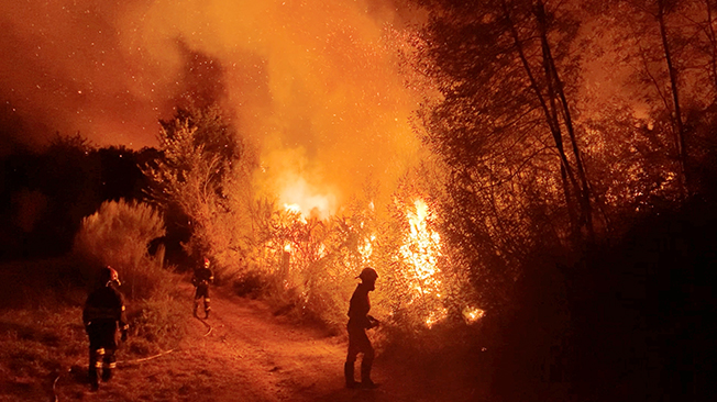 image Wildfires in Europe burn second-biggest area on record