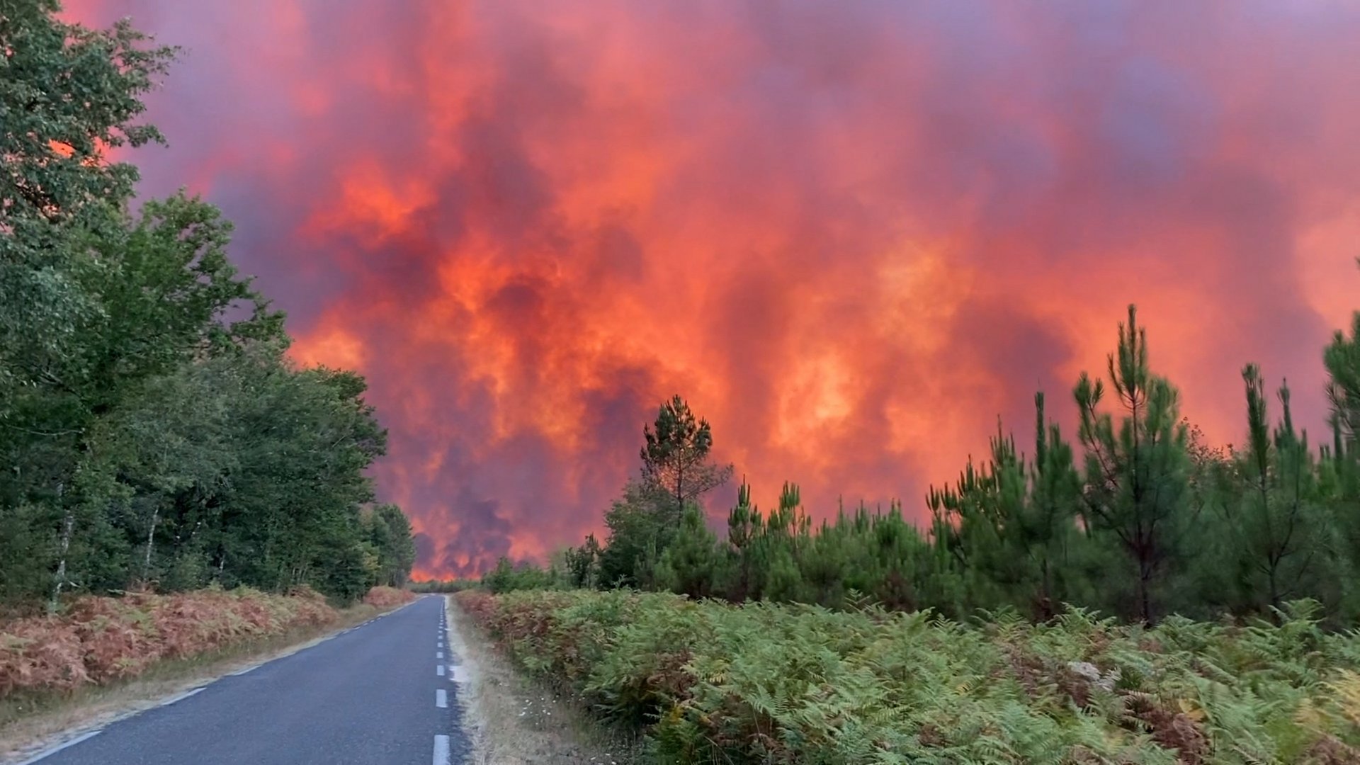 image Houses burnt as new wildfire rages in southwestern France