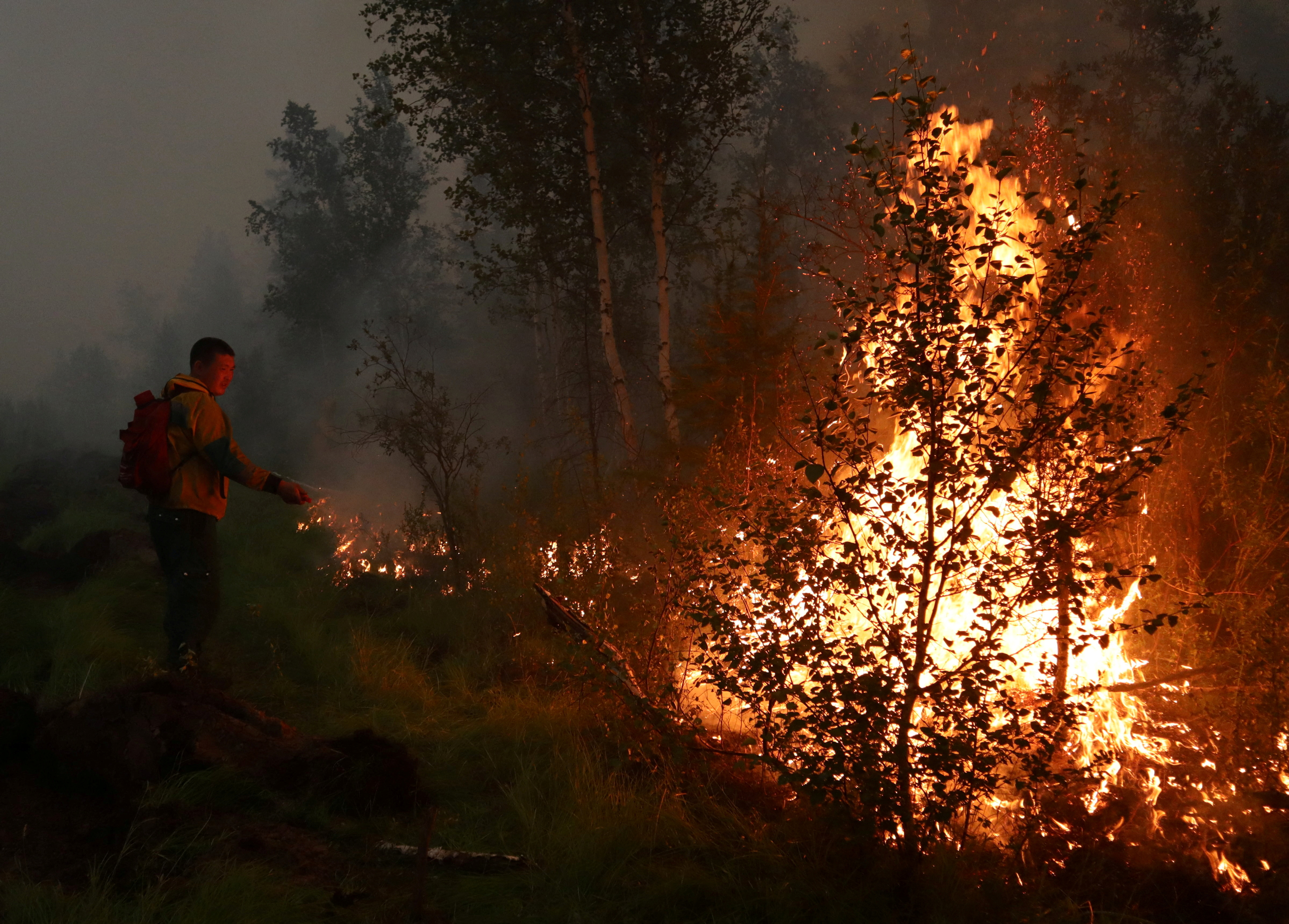image Forestry department issues fire warning
