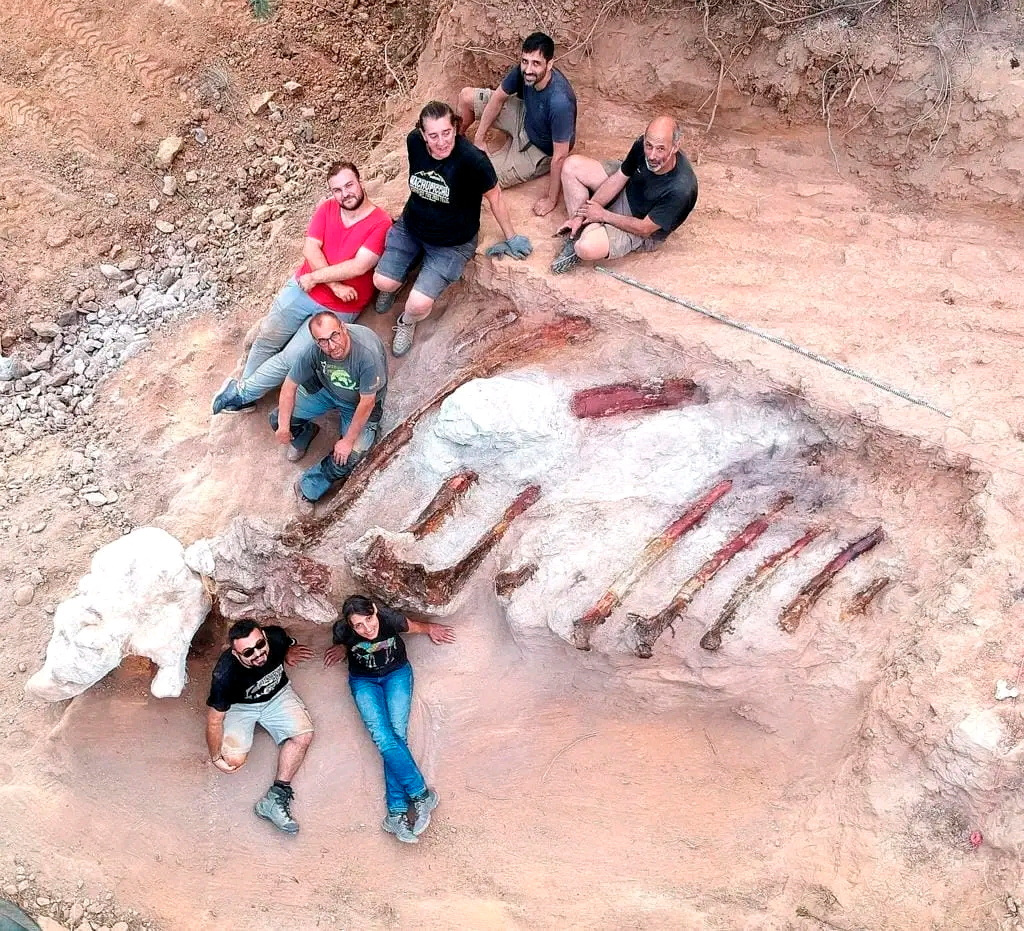 image Remains of large dinosaur skeleton unearthed in Portugal