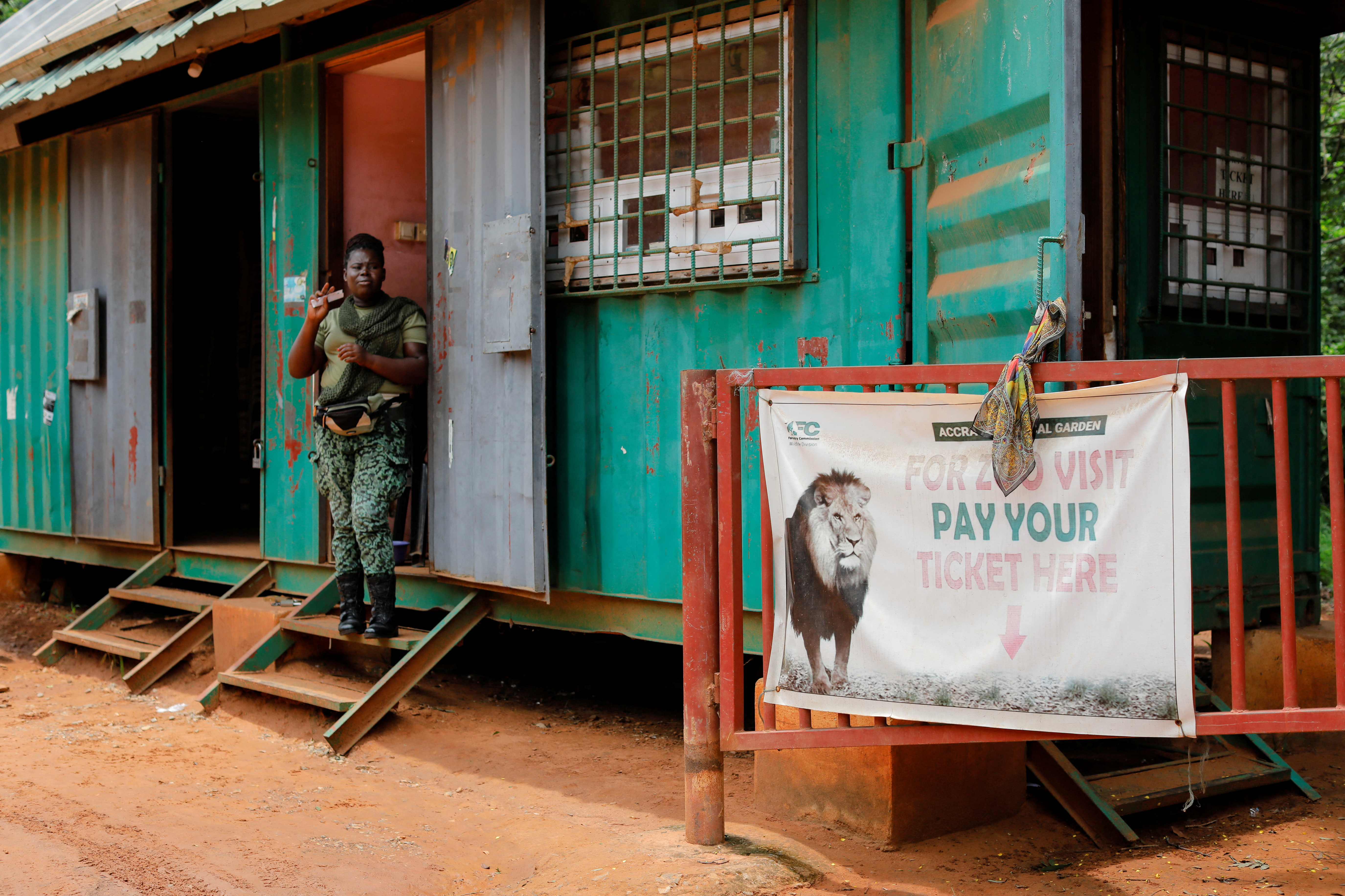 image Lion mauls man to death in Ghana zoo