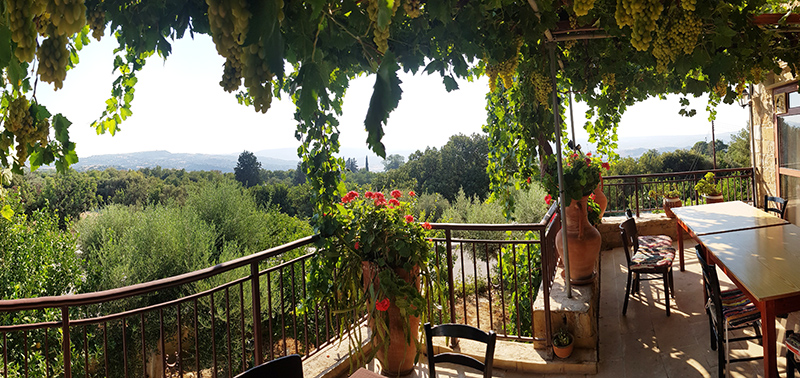 image Restaurant review: Spring of Life Forever, Amargeti, Paphos