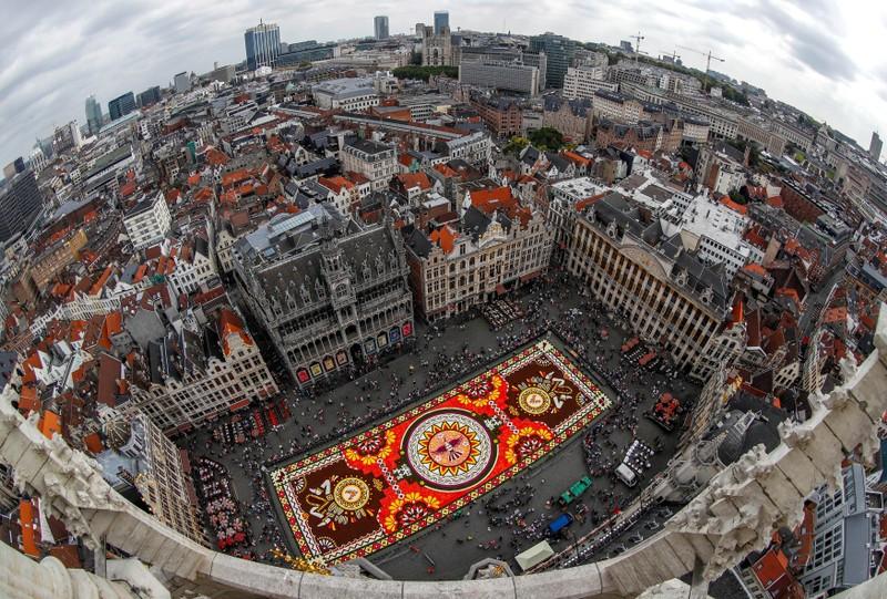 image Brussels&#8217; flower carpet blooms despite heatwave