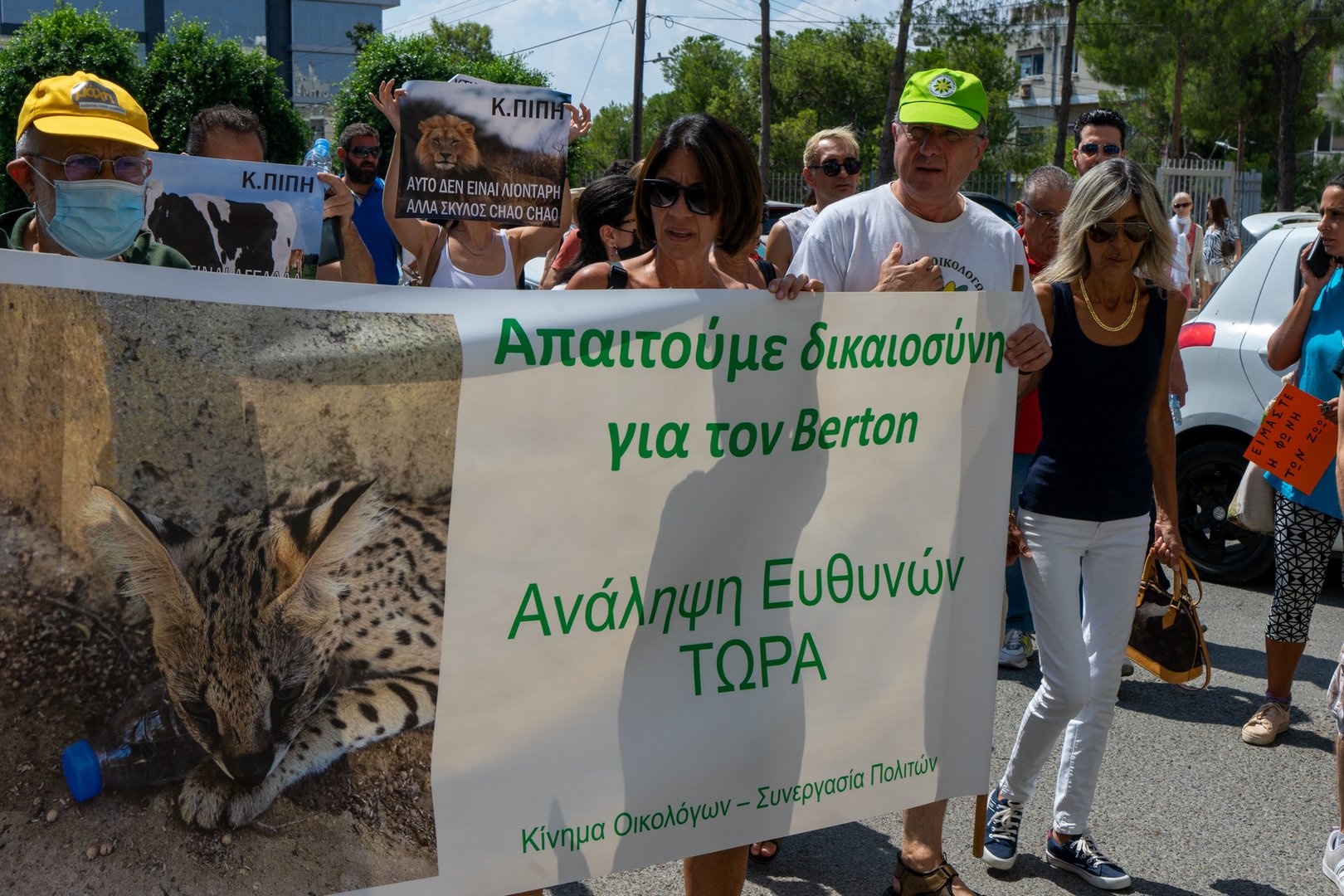 image Demonstrators protest outside AG’s office over hybrid cat’s death