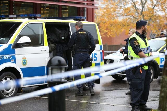 image Swedish police arrest several over explosives found in Stockholm park