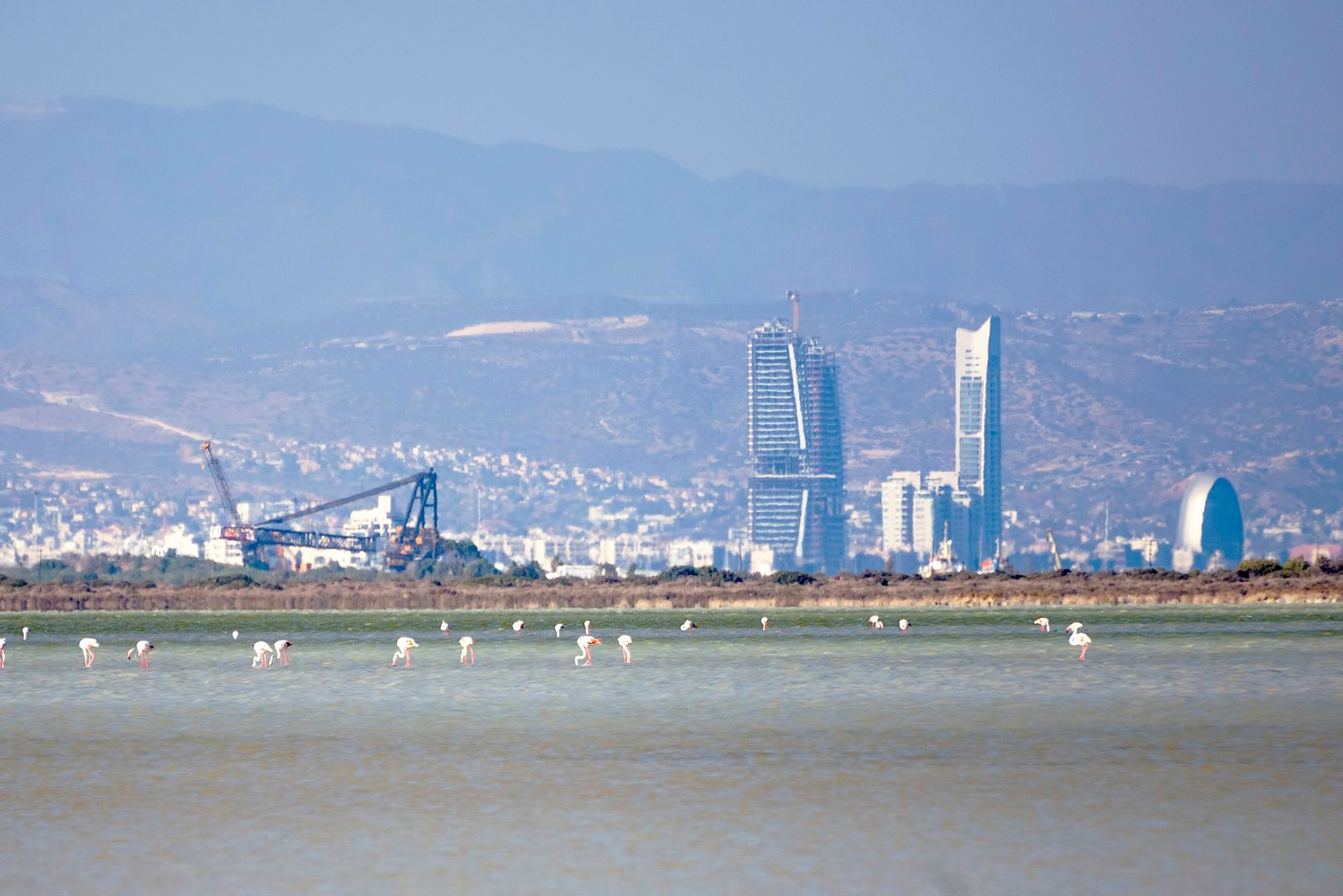 image Big projects endanger Akrotiri salt lake ecosystem