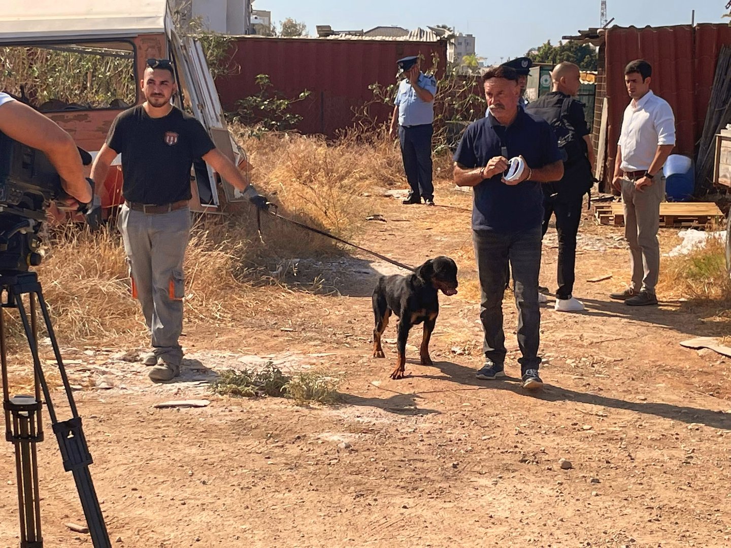 image Boy attacked by dogs in serious condition (update 2)