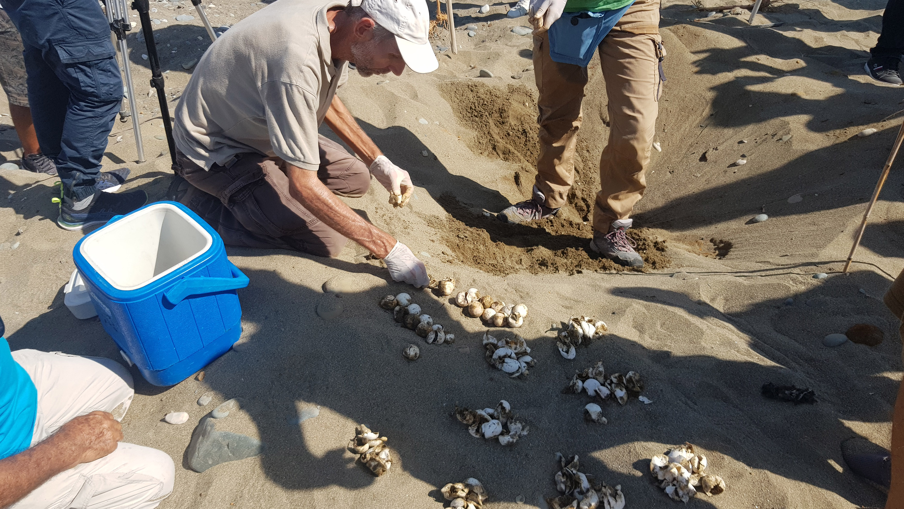image Agriculture minister visits turtle beaches (Update 2)