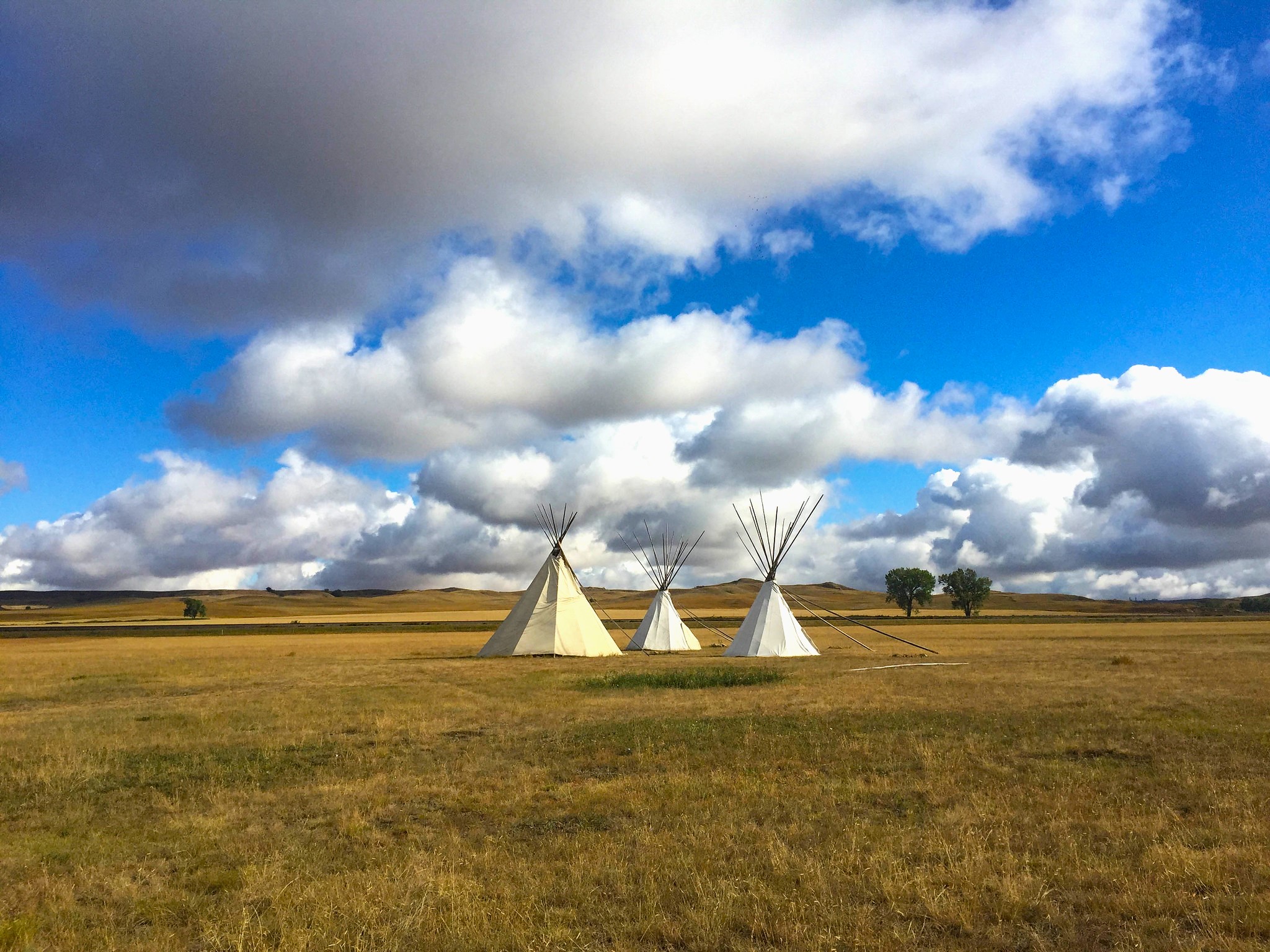 image What’s Eaten Where: North Dakota