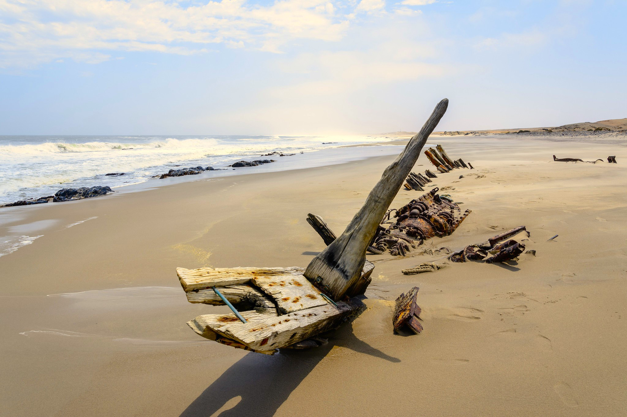 image What’s Eaten Where: The Skeleton Coast