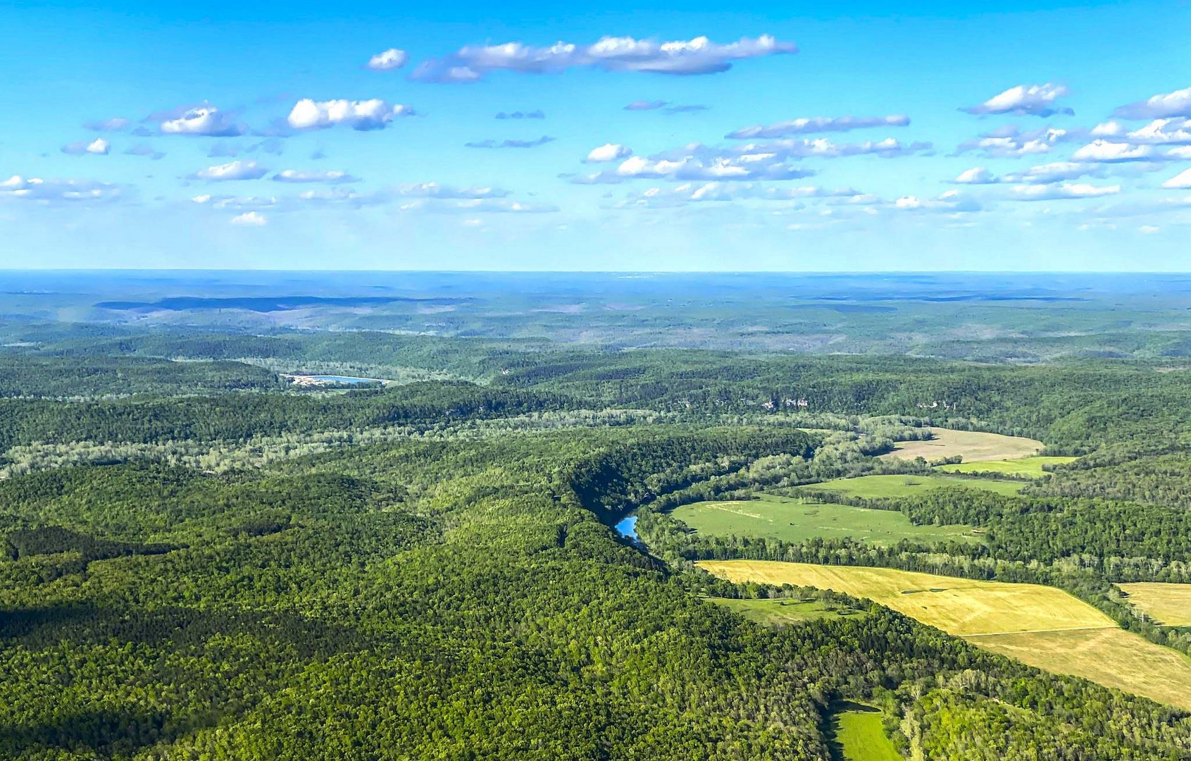 image What’s Eaten Where: The Ozarks