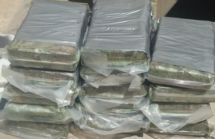 image Joint police operation seizes 17.7kg of cocaine in fruit container