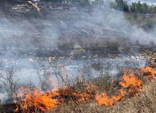 image Fires decreased by 10 per cent in 2022
