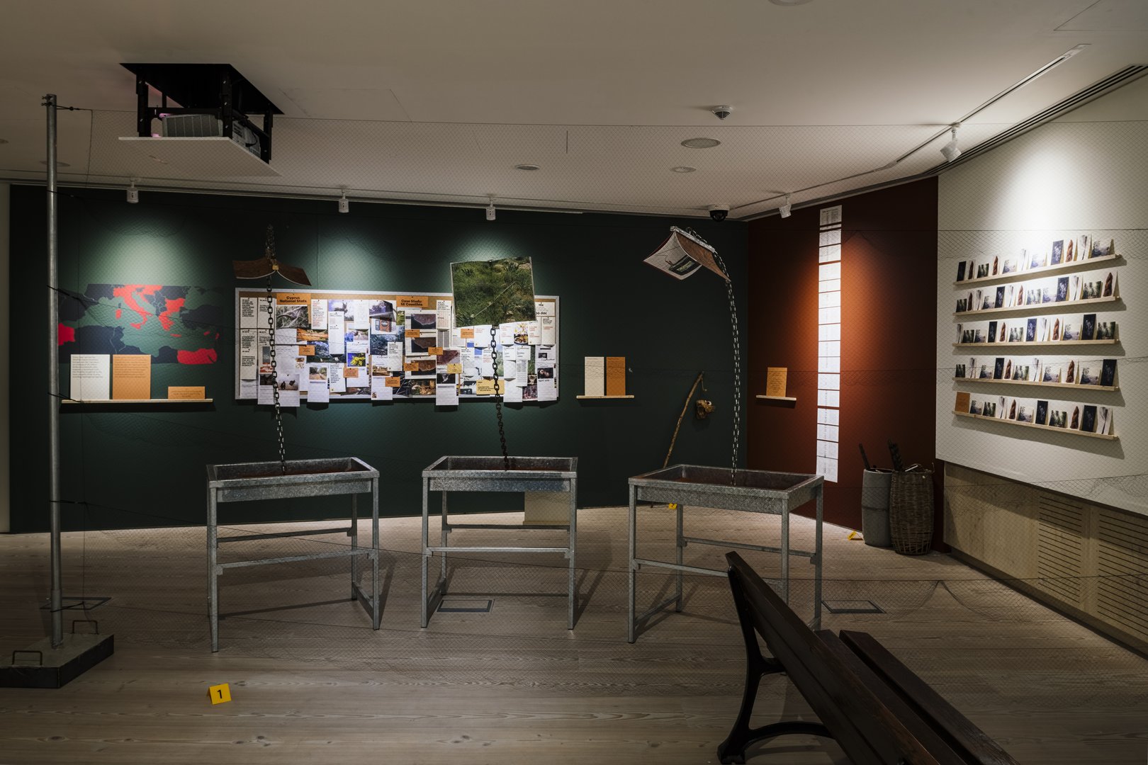 image A post mortem into the way migratory birds die