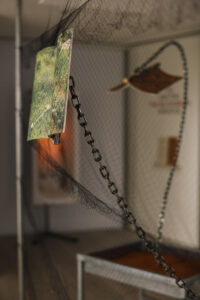 redsoil leventio exhibition small 43