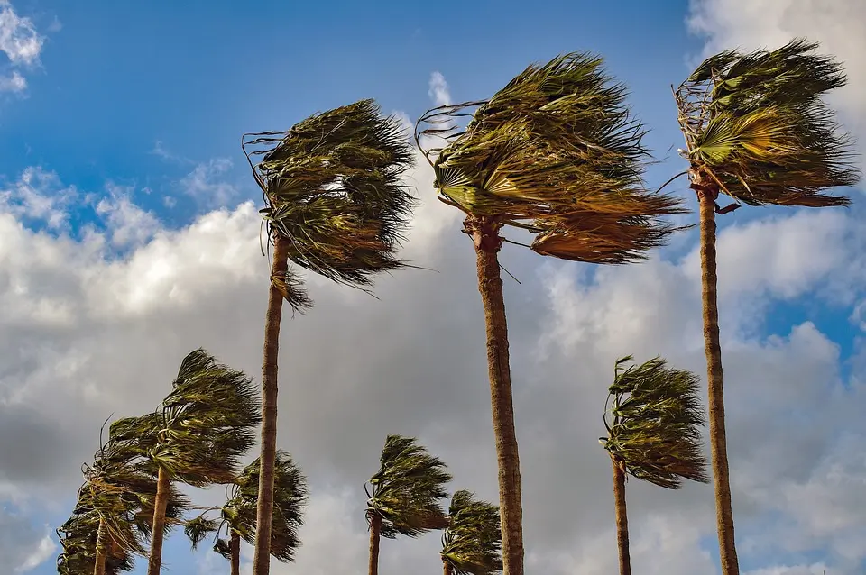 image Clear start, afternoon rains and strong winds