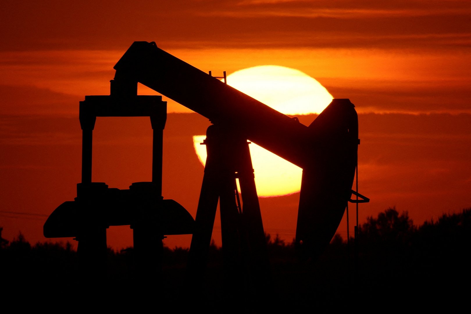image Misguided policies aggravating euro area problems
