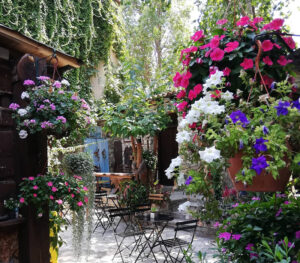 dom tourism the secret garden