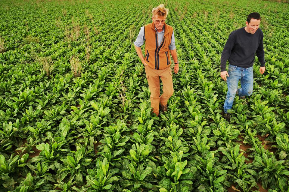 image ‘Huge’ interest in EU subsidies from young farmers
