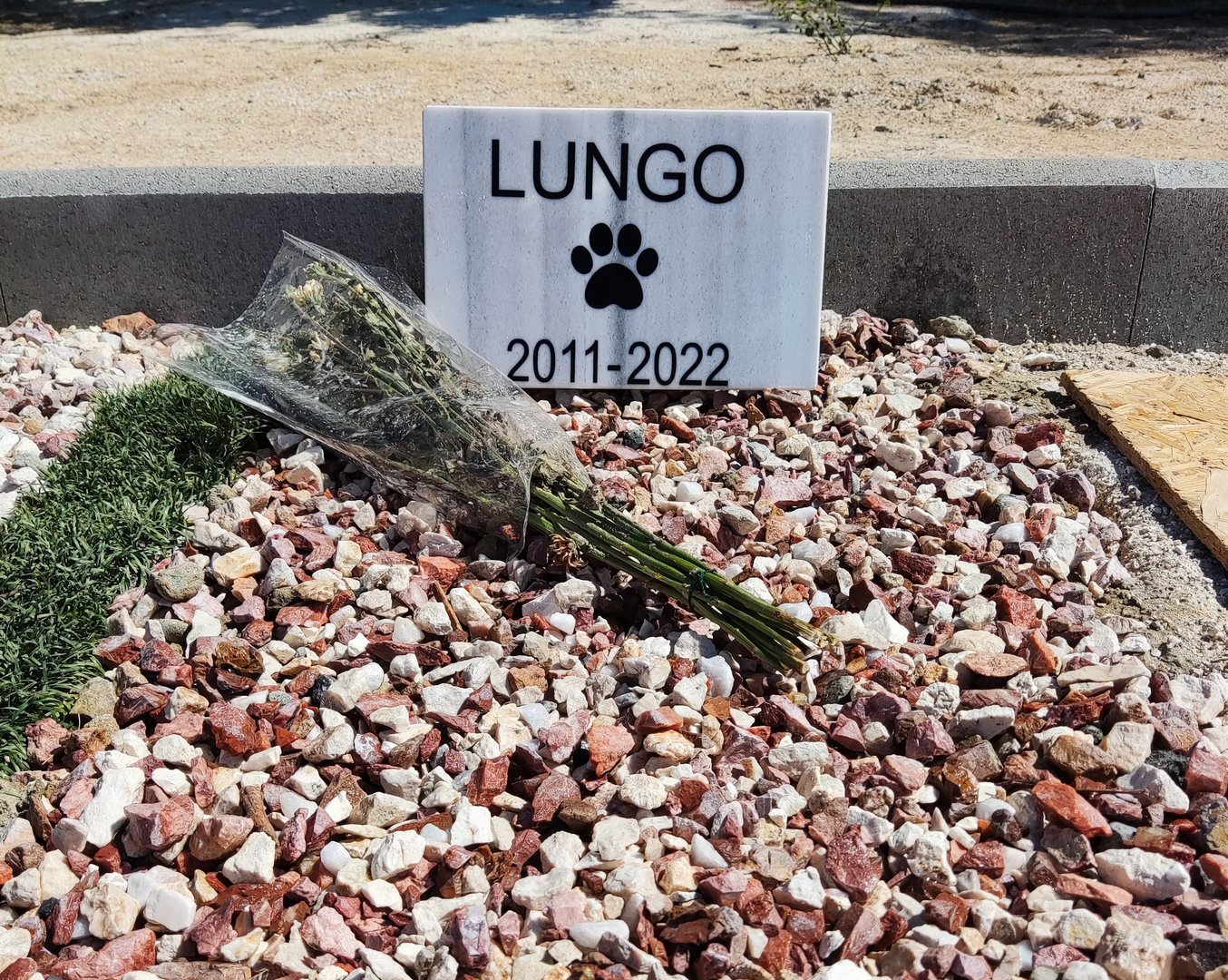 image A dignified final resting place for pets