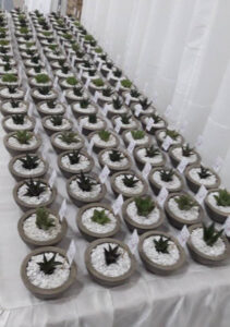 feature3 3 the minimalist pots and plants are a favourite at weddings and christenings