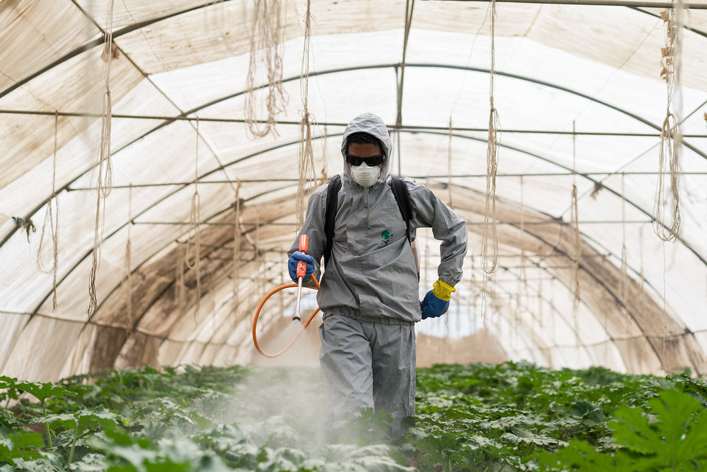 image Agriculture Minister to discuss pesticide use directive at EU Council