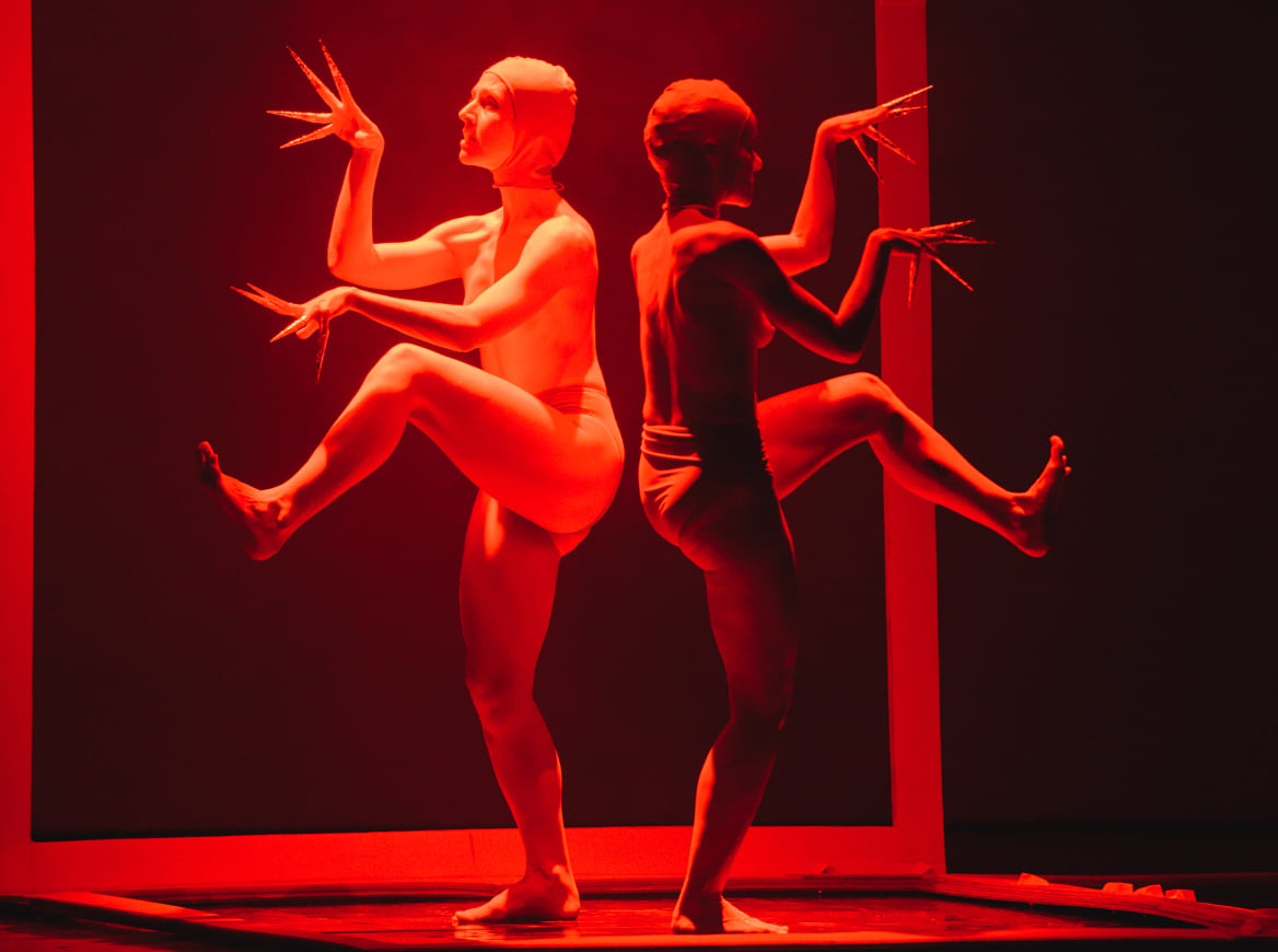 image Choreography platform to showcase new works
