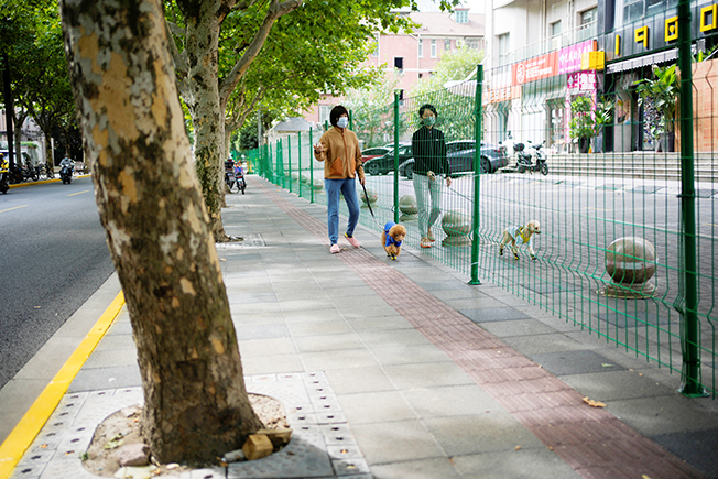 image China steps up anti-COVID measures in megacities as infections mount