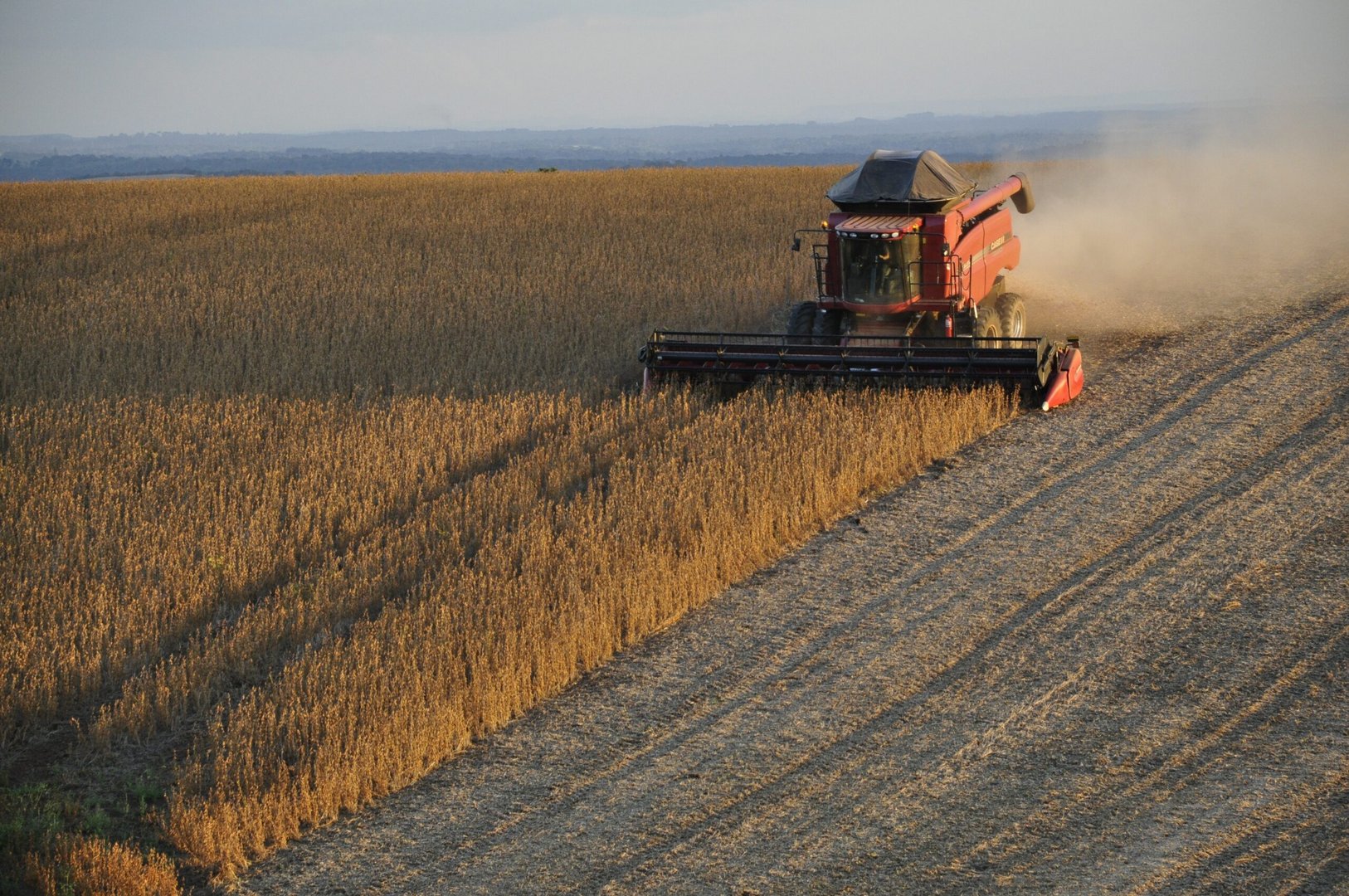agricultural expansion and intensification is the greatest threat to the world’s birds charles echer – pixabay
