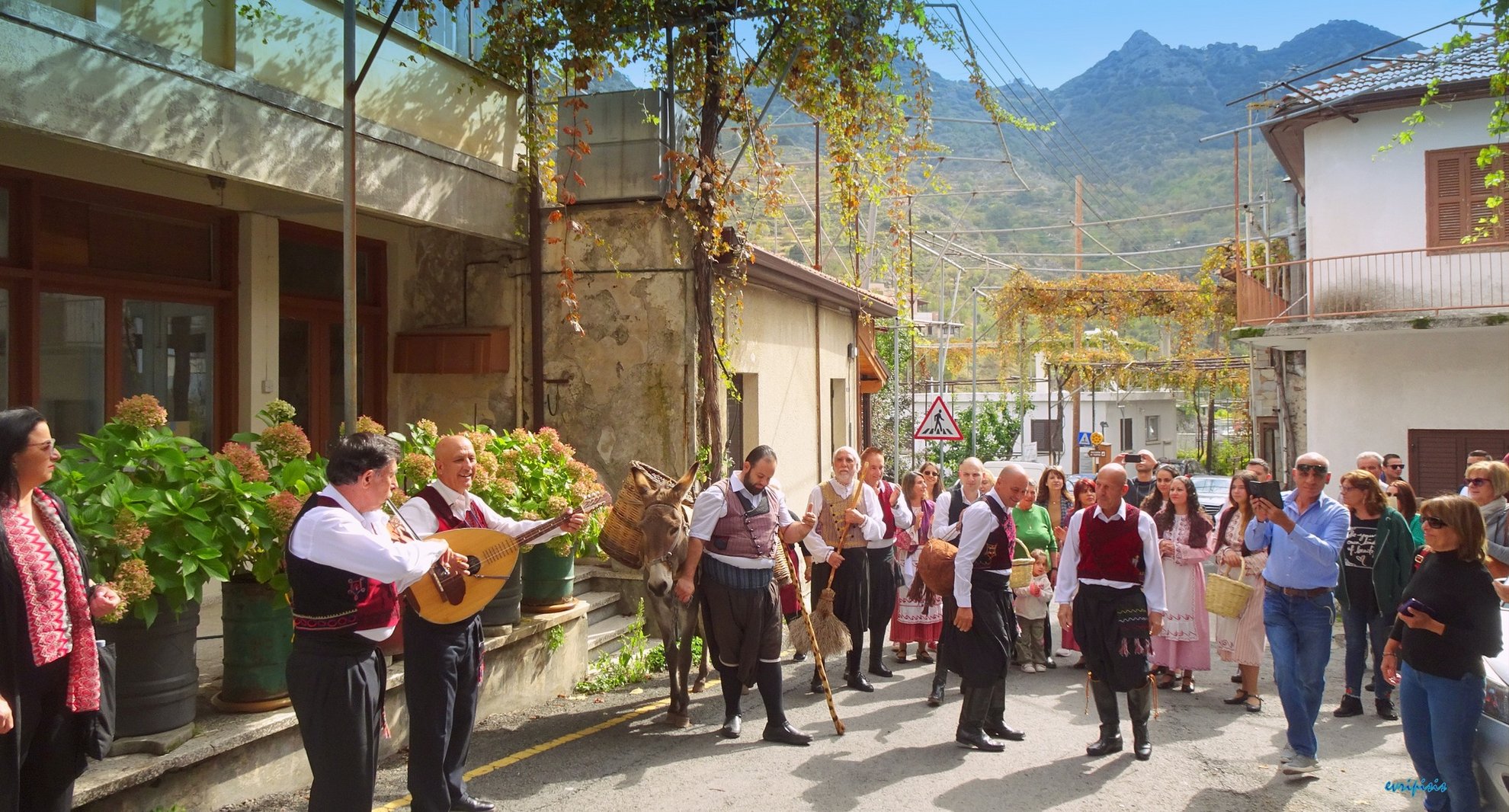 image Zivania festival coming up in Alona village