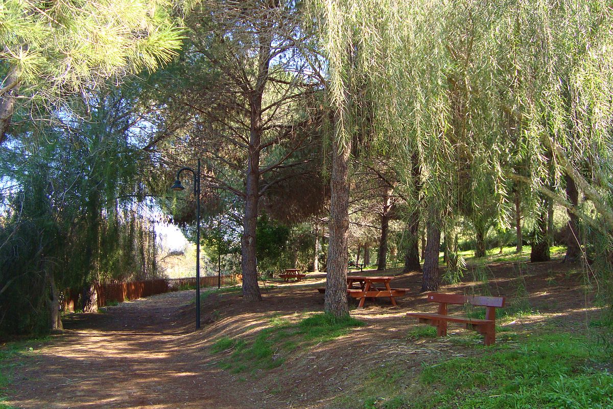 image Limassol initiates tender for linear park project
