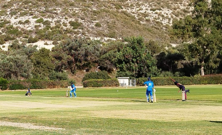 image Moufflons hit record score in Cyprus of 451