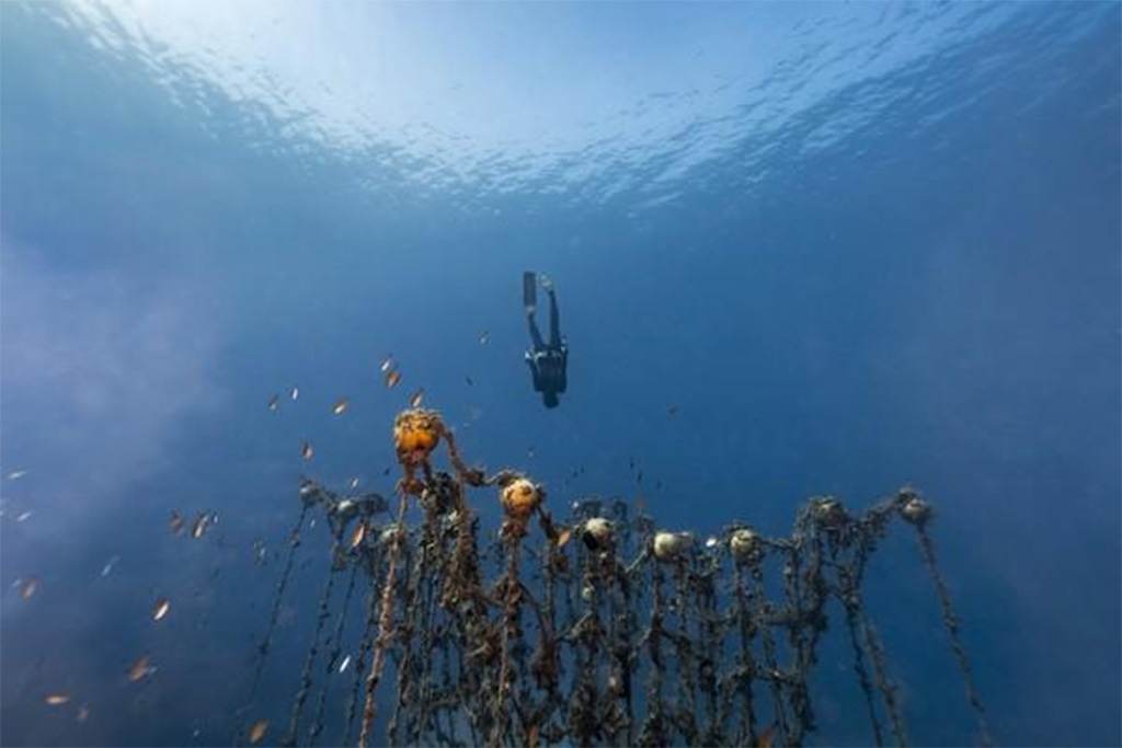 image Cyprus’ artificial reefs subject of new video
