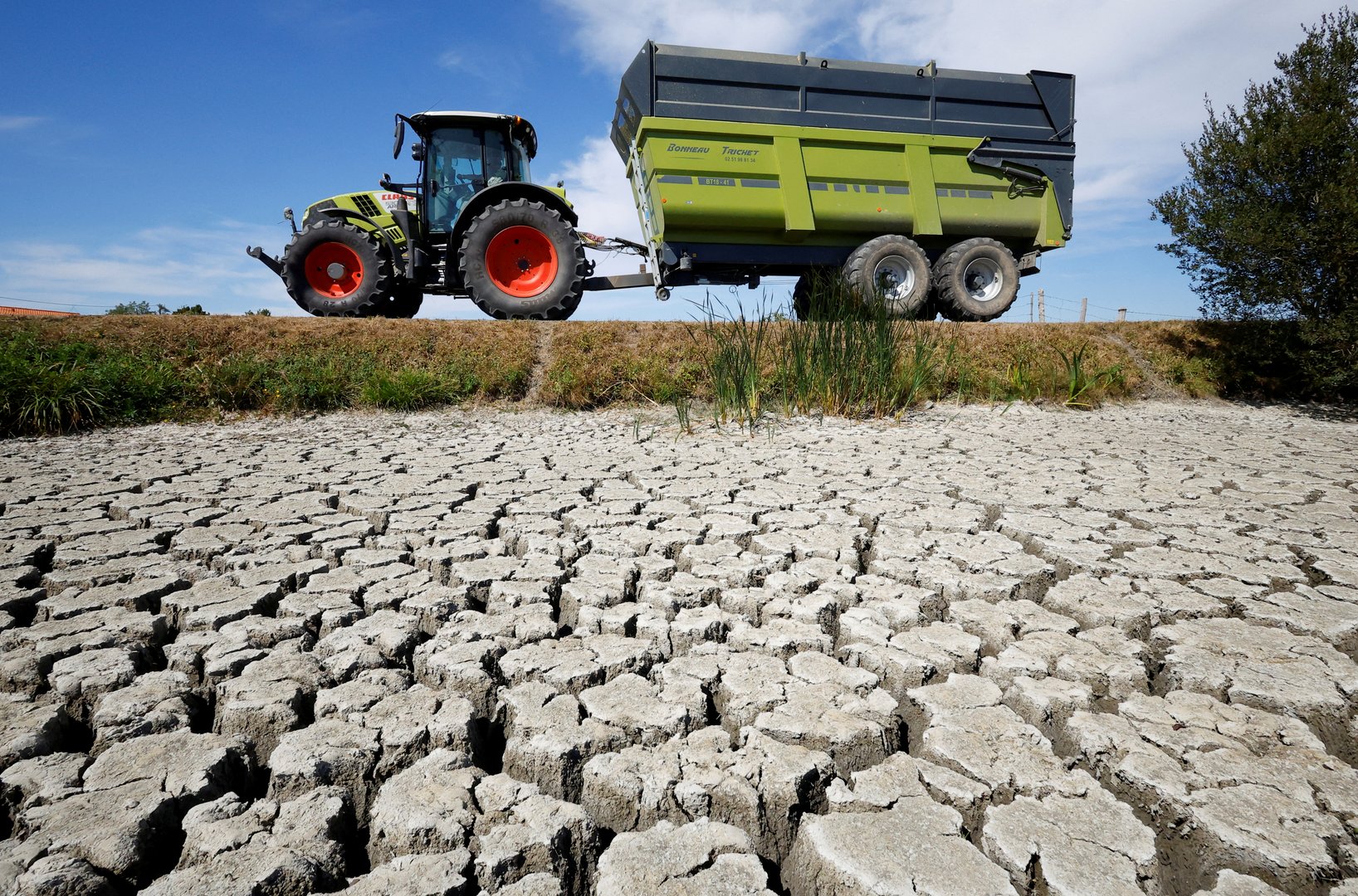 image We can fuel a new green revolution