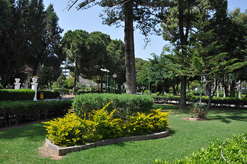 image Shouldn’t people have a say in how green spaces are managed?
