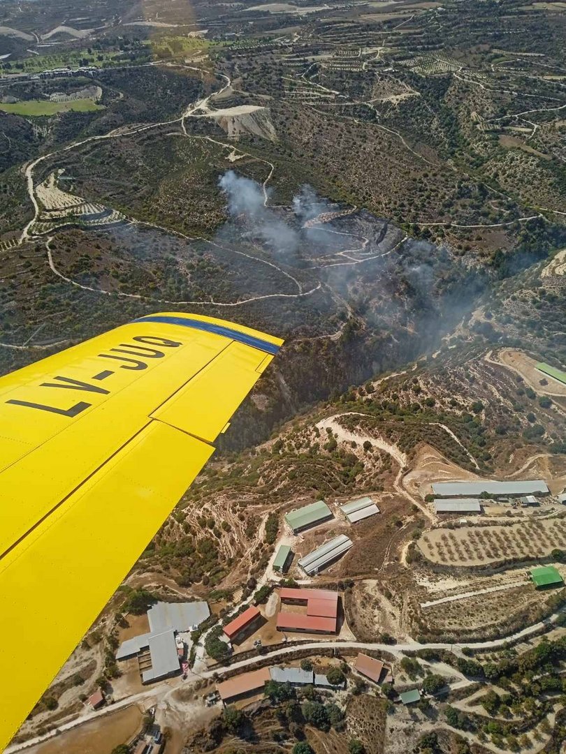 image Firefighters in Paphos bring latest wildfire under control amid strong winds (Updated)